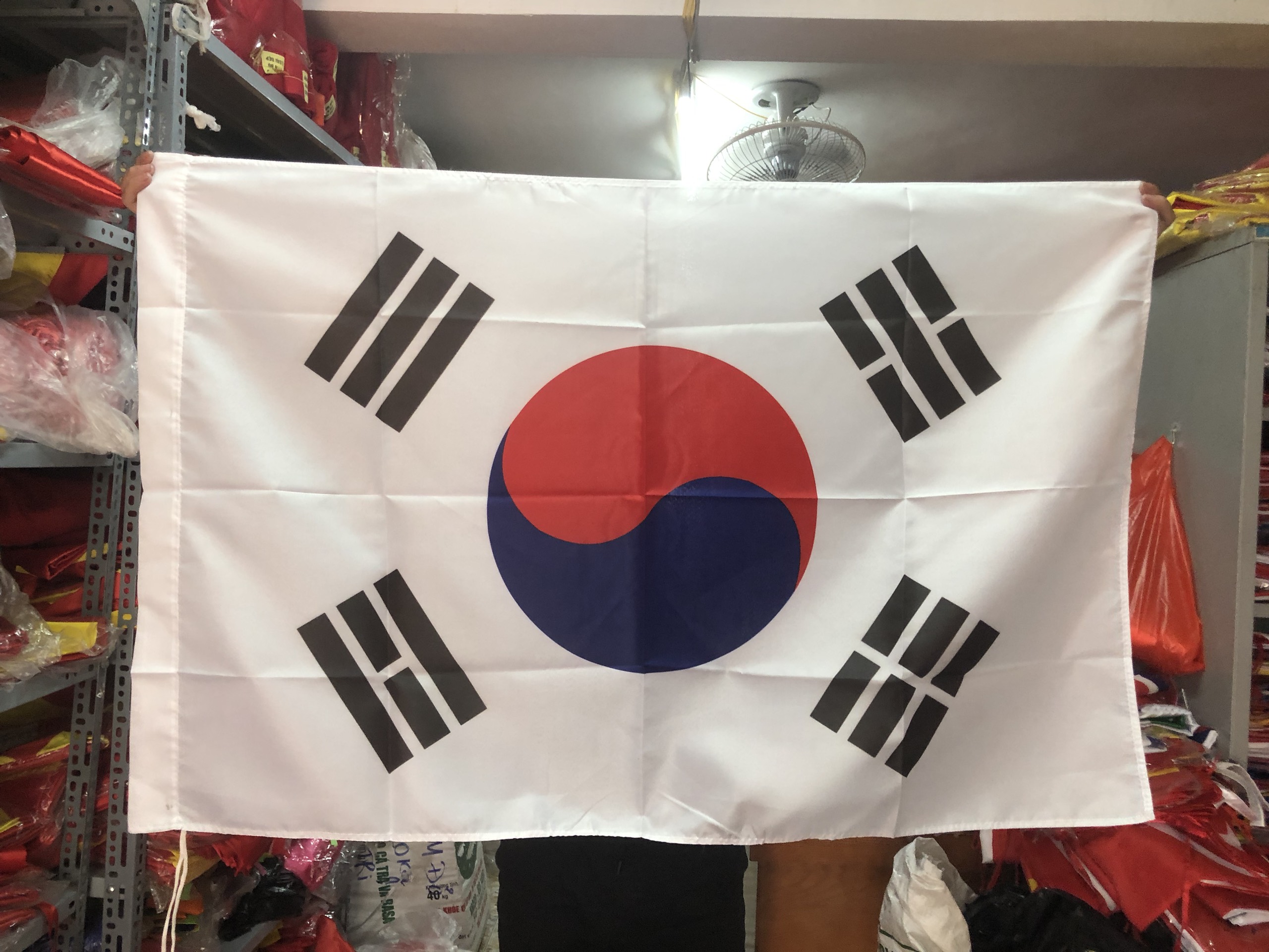 Cờ Các Nước Tại Hà Nội- Cờ Hàn Quốc