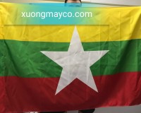 In cờ các nước tại Hà Nội